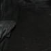 mini-IMG_1362